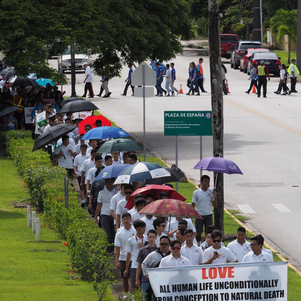 Senators advocate for 20-week abortion ban